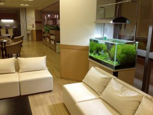 Ko様 病院（緩和ケア科）