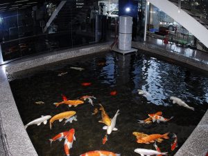 O様 老介護施設