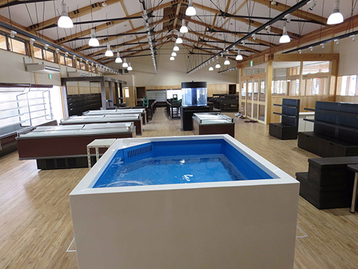 活魚ストックFRP水槽