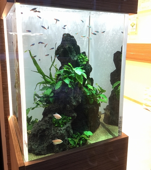 S様 不動産販売