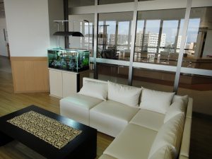 Ko様 病院（緩和ケア科）