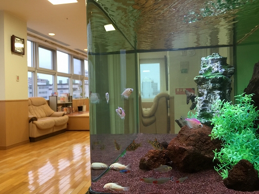 KK様 病院(緩和ケア科)