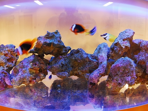 O様 オフィス(B支店)