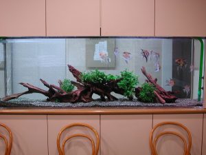 N様 病院（売店）