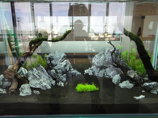 Ko様 病院（緩和ケア科）