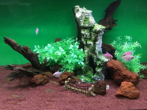 KK様 病院(緩和ケア科)