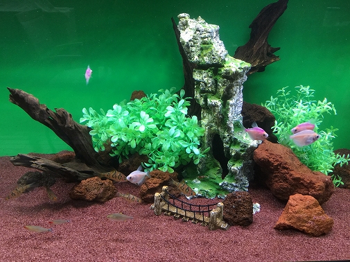 KK様 病院(緩和ケア科)