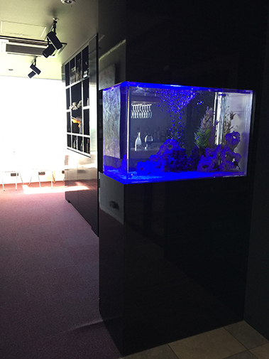 N様 高齢者福祉施設