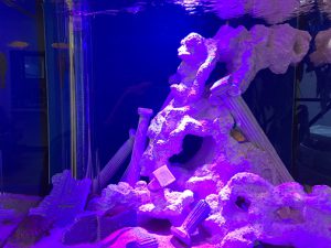 A様 ヘアサロン