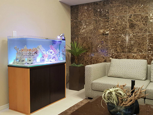 Ｓ様 ＭＳモデルルーム