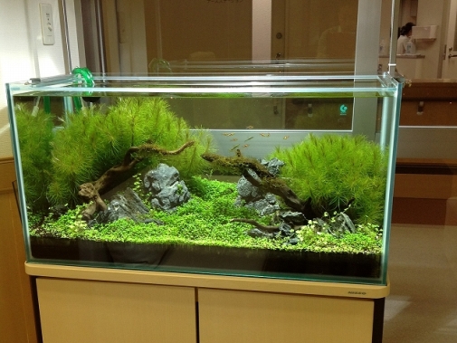 Ko様 病院（緩和ケア科）