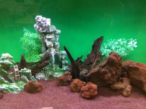 KK様 病院(緩和ケア科)