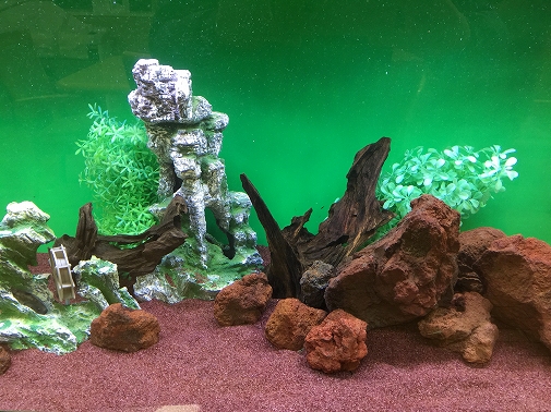 KK様 病院(緩和ケア科)