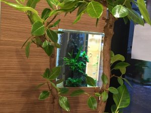 S様 不動産販売