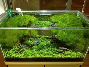 Ko様 病院（緩和ケア科）