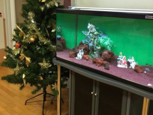 KK様 病院(緩和ケア科)