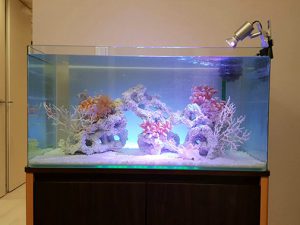 Ｓ様 ＭＳモデルルーム