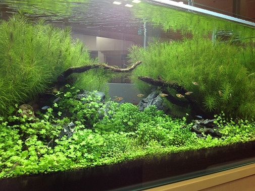 Ko様 病院（緩和ケア科）