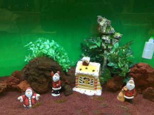 KK様 病院(緩和ケア科)