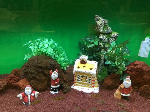 KK様 病院(緩和ケア科)