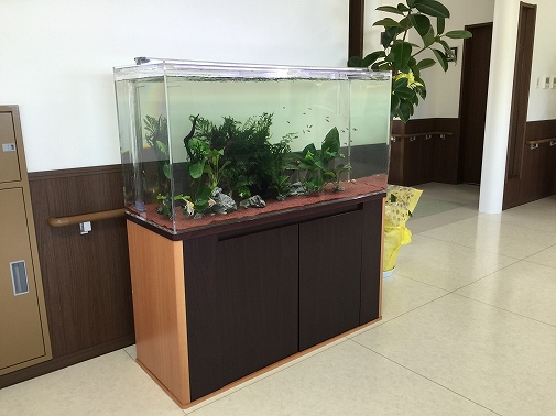 K様 老介護施設