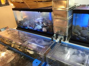 Ｎ飲食店様 レジャー施設内