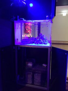 N様 高齢者福祉施設