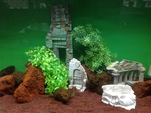 KK様 病院(緩和ケア科)