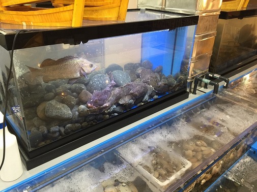 Ｎ飲食店様 レジャー施設内