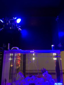 N様 高齢者福祉施設