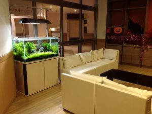 Ko様 病院（緩和ケア科）