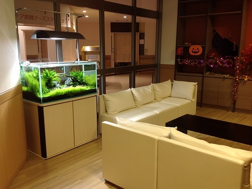 Ko様 病院（緩和ケア科）