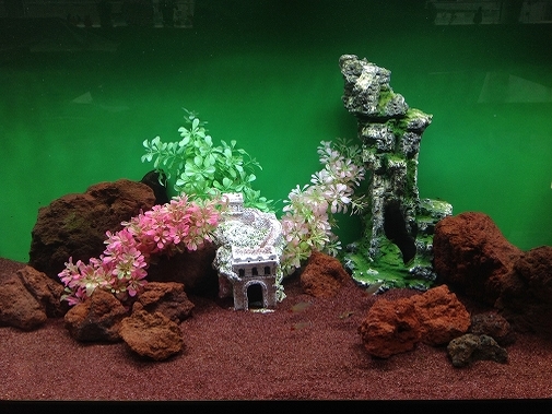 KK様 病院(緩和ケア科)