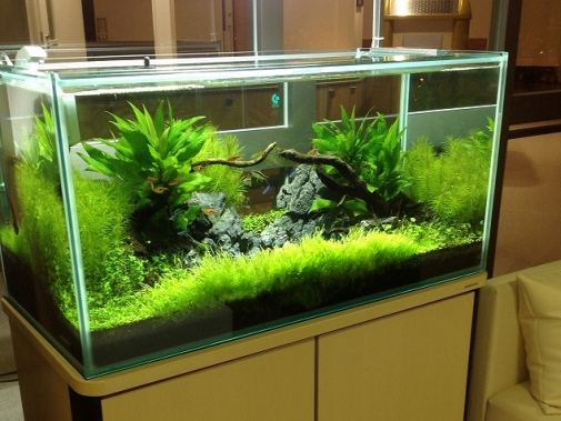 Ko様 病院（緩和ケア科）