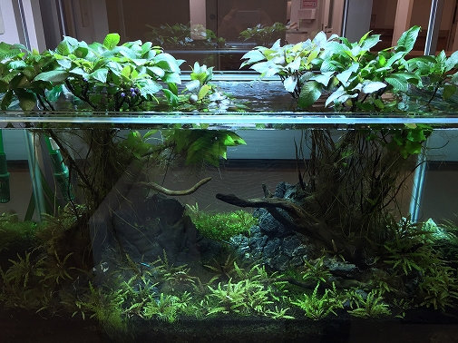 Ko様 病院（緩和ケア科）