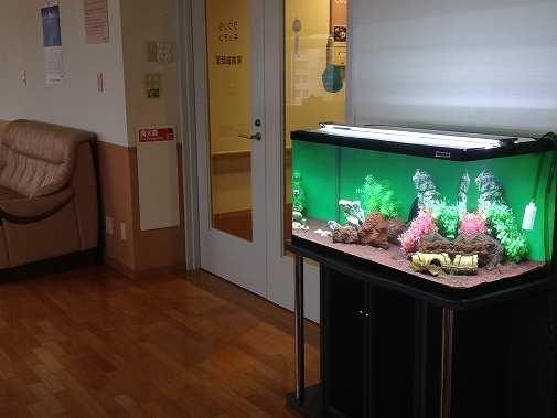 KK様 病院(緩和ケア科)