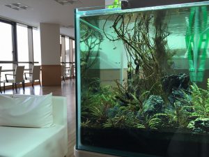 Ko様 病院（緩和ケア科）