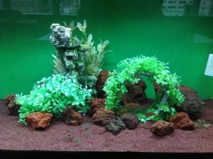 KK様 病院(緩和ケア科)