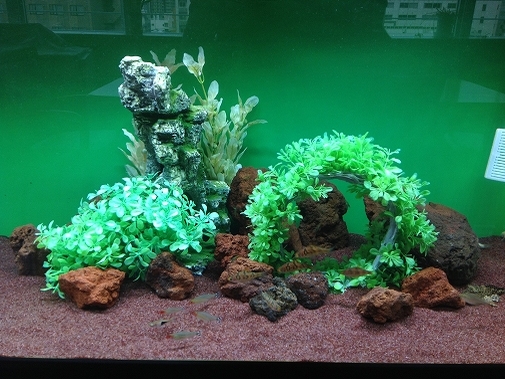 KK様 病院(緩和ケア科)