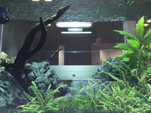 Ko様 病院（緩和ケア科）