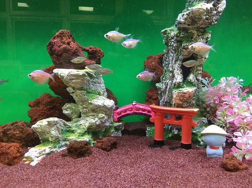 KK様 病院(緩和ケア科)