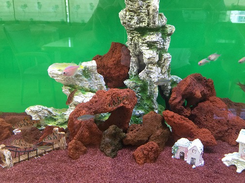 KK様 病院(緩和ケア科)